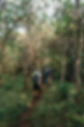 DSC07636.jpg