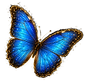www.IamOneSelf_edited.png