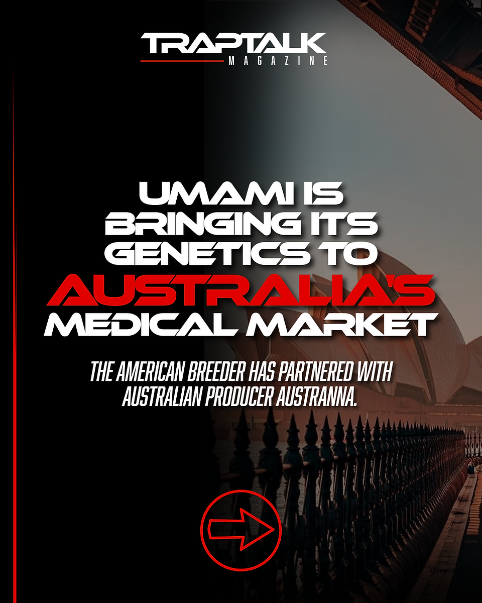 Trap Talk Magazine graphic announcing Umami Seed Co.’s expansion into Australia’s medicinal cannabis market through a partnership with Australian producer Austranna.
