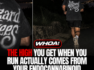 The Runner’s High Is More Cannabinoid Than We Realized