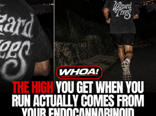 The Runner’s High Is More Cannabinoid Than We Realized