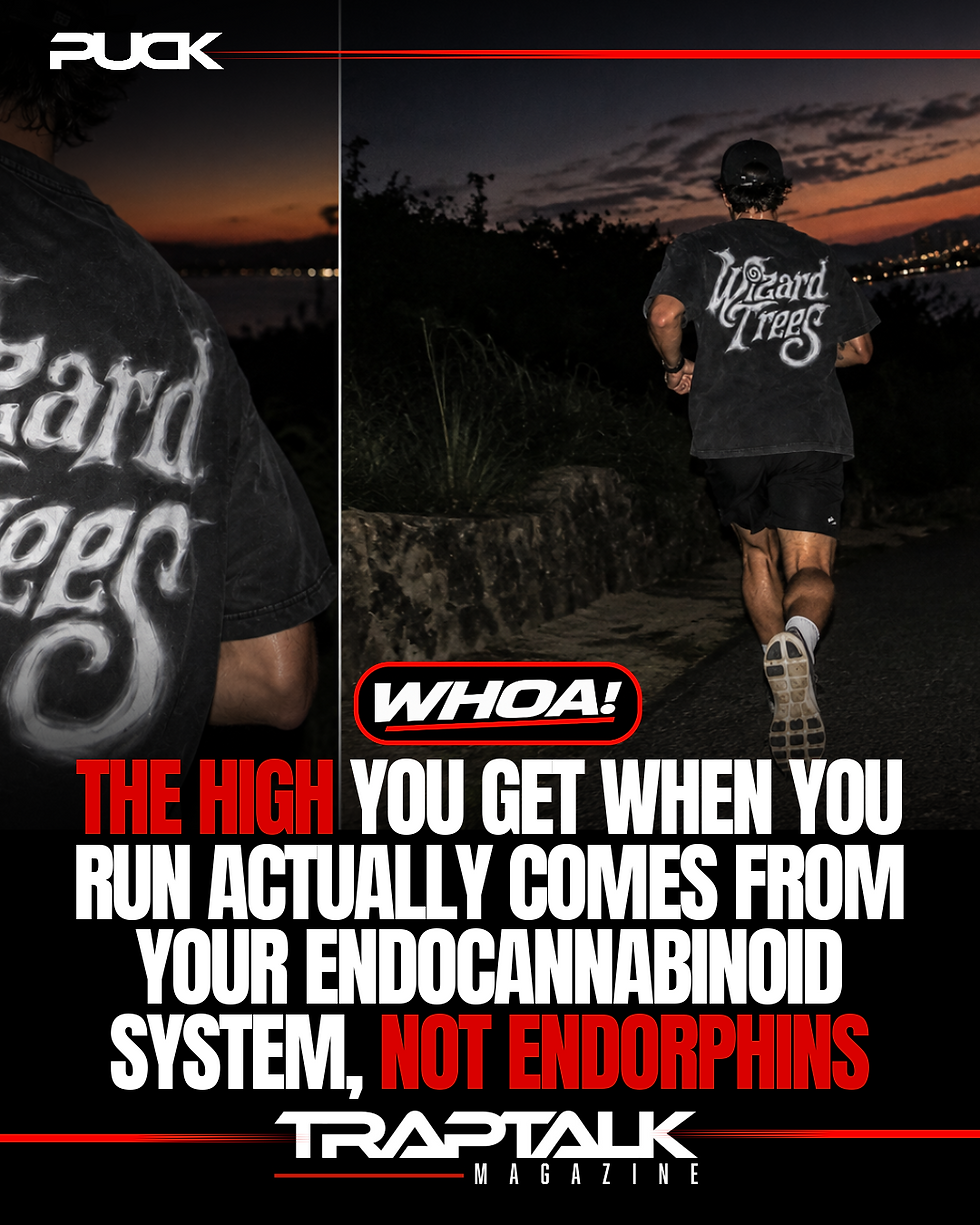 The Runner’s High Is More Cannabinoid Than We Realized