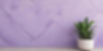 geometric lavender textured stucco wall with a small floor plant on the right (1)_edited_