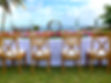 ShandisonWeddingMrMrs.jpg
