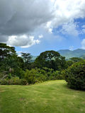 Open lawn and Northern Range views surrounding Drogeda at Valli Hai Estate