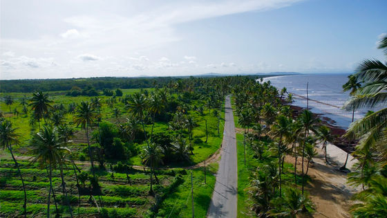 Long road extending through a lush green landscape in Trinidad