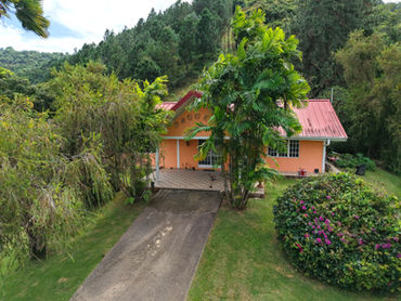 Aerial view of the driveway leading to Drogeda through tropical gardens