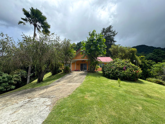 Long driveway and manicured lawn leading toward Drogeda residence