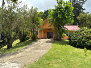 Driveway approach to Drogeda through mature trees and landscaped grounds