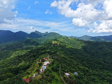 Forested Northern Range mountains above Maracas Valley, Trinidad.