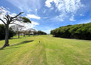GolfCourse2.jpg