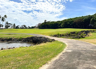 GolfCourse8.jpg