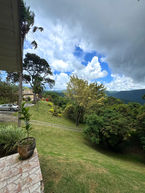 Garden pathway and mountain views from the landscaped grounds around Drogeda