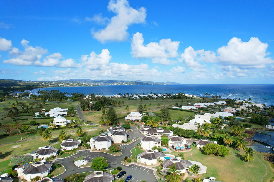 DJI_0115_edited.jpg