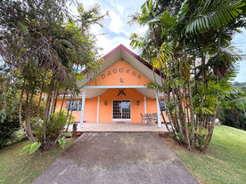 Front exterior of Drogeda surrounded by palms and mature tropical landscaping
