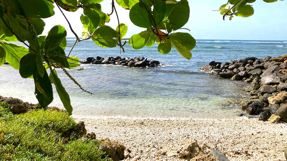 PrivateBeach.jpg