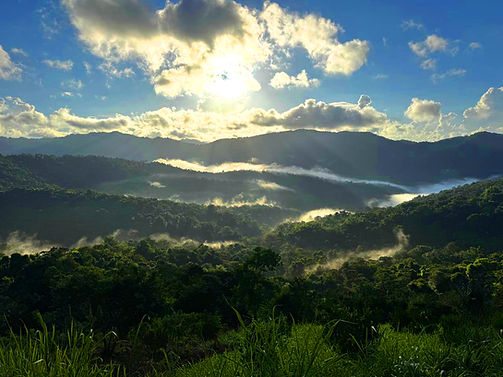 Scenic view across Valli Hai Estate and Trinidad’s Northern Range