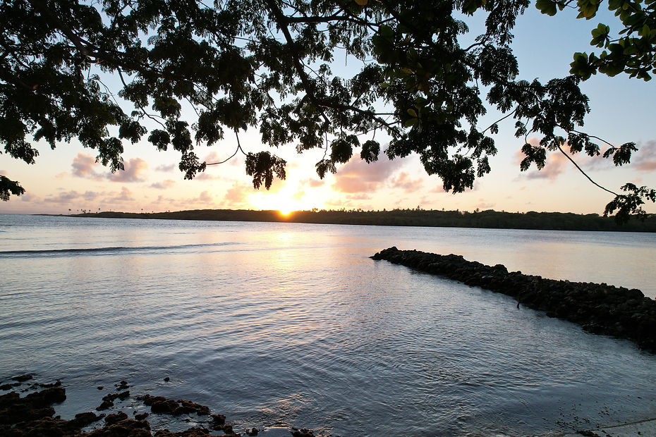 DJI_0156.JPG