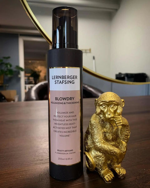 Blowdry Lernberger & Stafsing