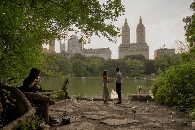 couple during a professionally planned marriage proposal in Central Park