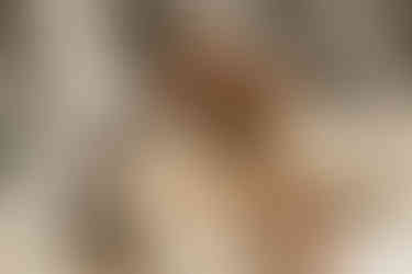 cinematic elopement photographer nyc city hall with dog