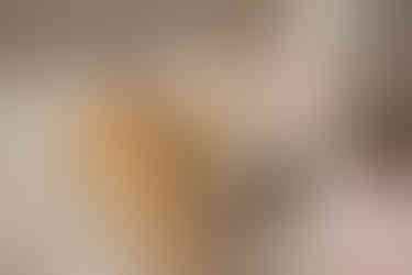 bride and groom with dog at city hall park manhattan spring