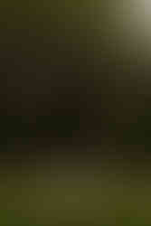 Couple at Conservatory Garden Central Park engagement photos NYC cinematic photographer