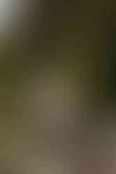 Romantic couples photography Conservatory Garden NYC summer cinematic photos