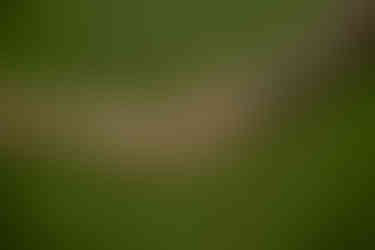 Romantic spots in Central Park, couple at Bow Bridge spring engagement session cinematic photoshoot