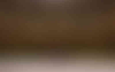 Surprise proposal at Conservatory Garden Central Park NYC winter