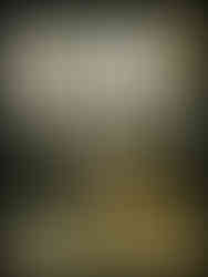 dog friendly elopement nyc portraits city hall with dog