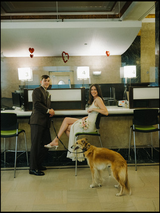 dog friendly elopement nyc portraits city hall with dog