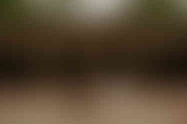 Central Park proposal photographer capturing surprise proposal at Bethesda Terrace NYC spring