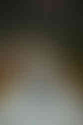 Romantic couples photography Conservatory Garden NYC winter moody