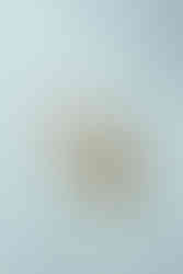 Luxury bridal perfume detail styled for New York wedding flat lay photography