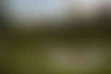 Candid engagement photos Conservatory Garden Central Park