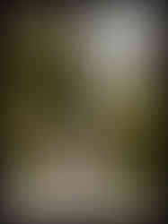 Romantic couples photography Conservatory Garden NYC summer cinematic photos