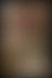 candid wedding photography at manhattan marriage bureau with dog