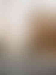 Candid engagement photos Conservatory Garden Central Park