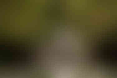 Romantic couples photography Conservatory Garden NYC summer cinematic photos