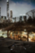 couple during a professionally planned marriage proposal in Central Park
