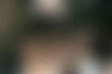 Guests raising a toast at a garden wedding reception in Williamsburg, Brooklyn