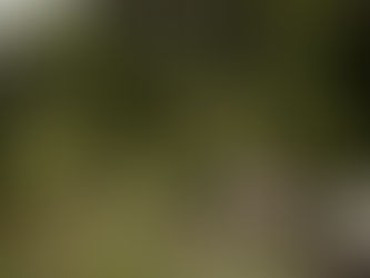 Couple at Conservatory Garden Central Park engagement photos NYC cinematic photographer