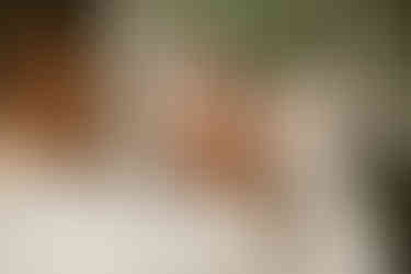 candid wedding photography at manhattan marriage bureau