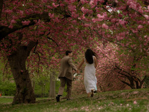Cherry blossom engagement photos Central Park New York cinematic photographer