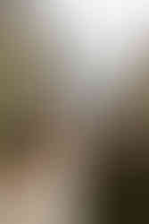 cinematic elopement photographer nyc city hall confetti exit