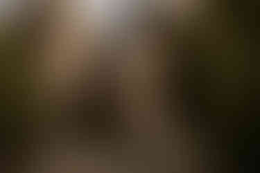 Couple at Conservatory Garden Central Park engagement photos NYC cinematic photographer