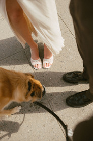 couple getting married at nyc city hall with dog
