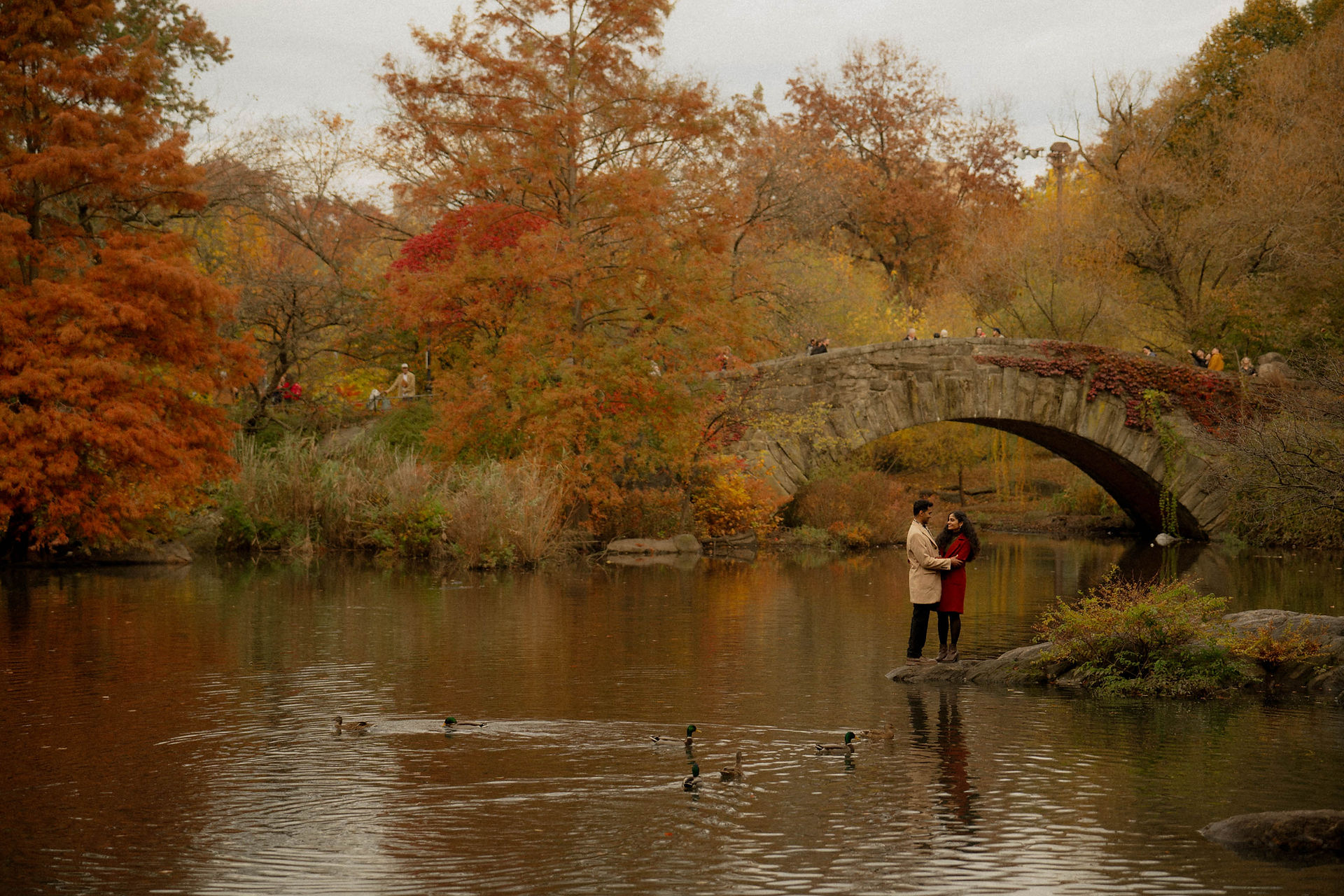 couple during fall engagement photos under peak fall colors in Central Park surprise proposal at Gapstow Bridge