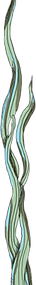 Seaweed Strand 